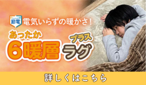 冬の節電_6暖層ラグ