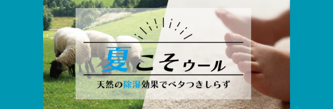 夏こそウール