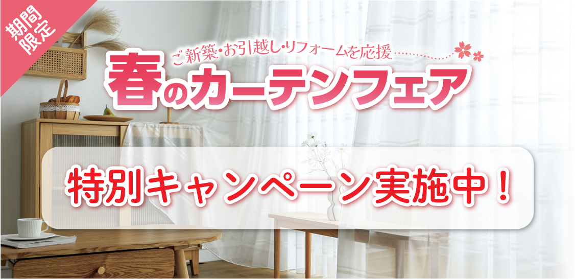 期間限定特別キャンペーン実施中！