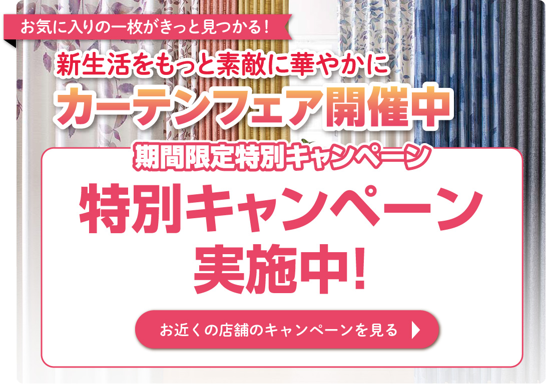 期間限定特別キャンペーン実施中！