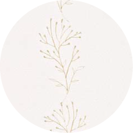 品番SD27189のサンプル画像