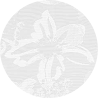 品番TA15266のサンプル画像