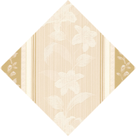 品番CJ34480のサンプル画像