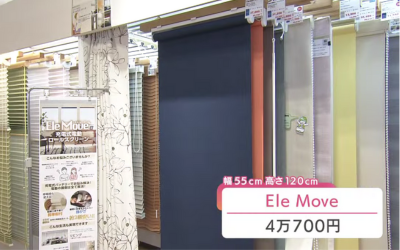 Ele Move（エレムーヴ）