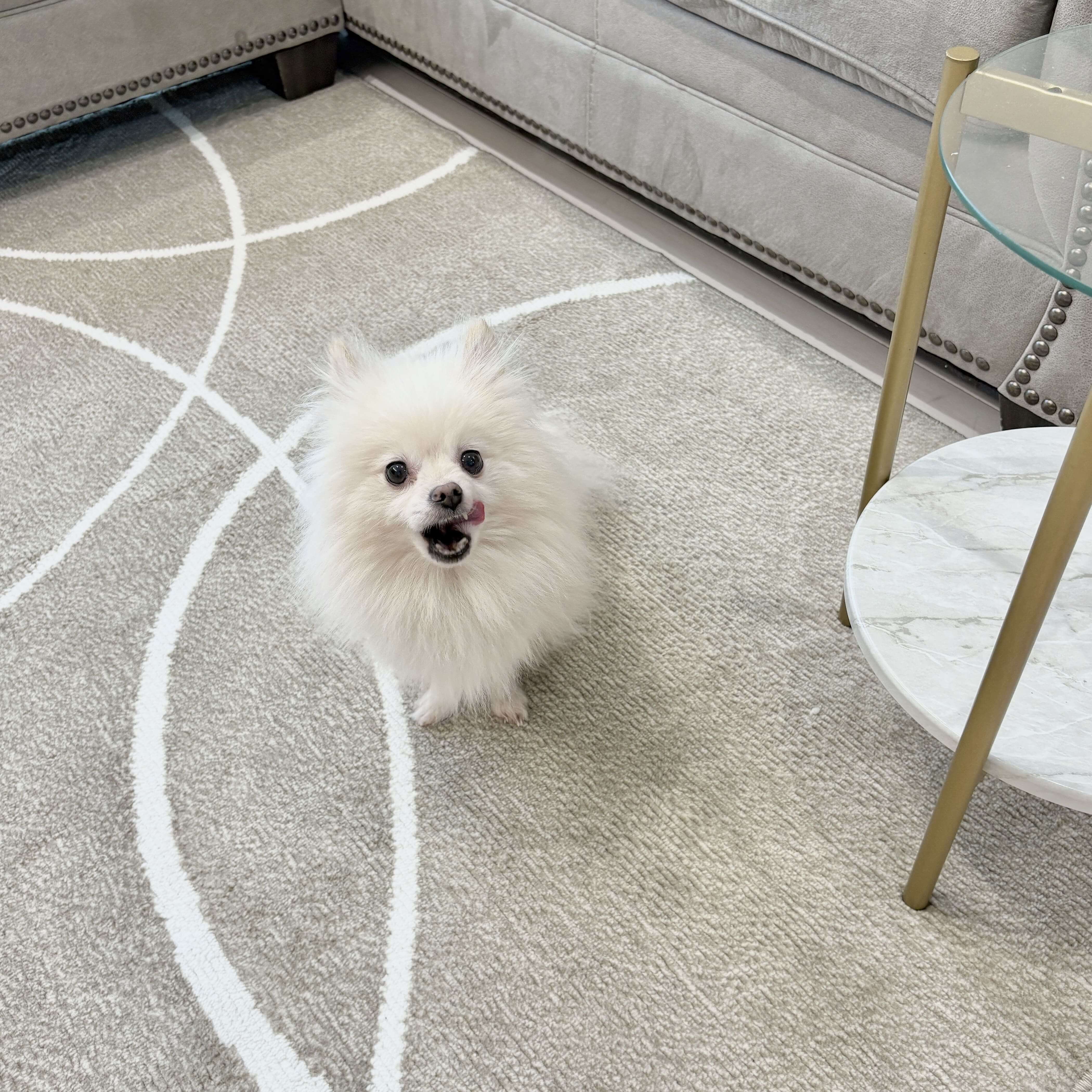 PR】当社のラグをご利用いただいたお客様より