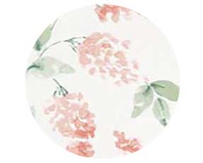 flowers_SC17268