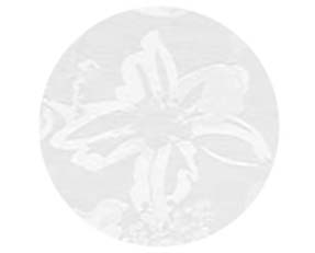 flowers_TA15266