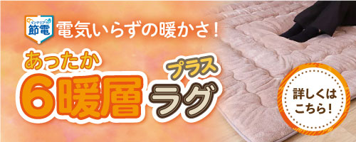 冬の節電_6暖層ラグ