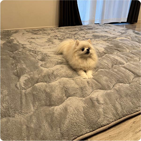 インフルエンサー投稿3