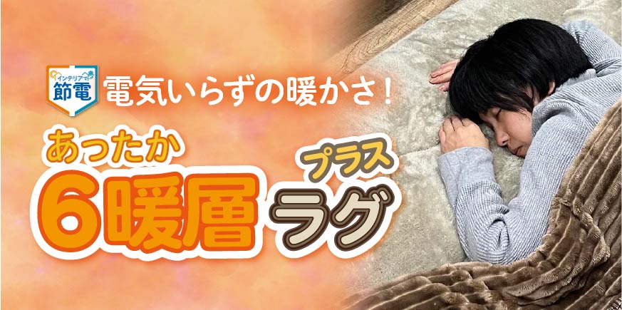 6暖層ラグプラスについて詳しく知りたい方はこちら！