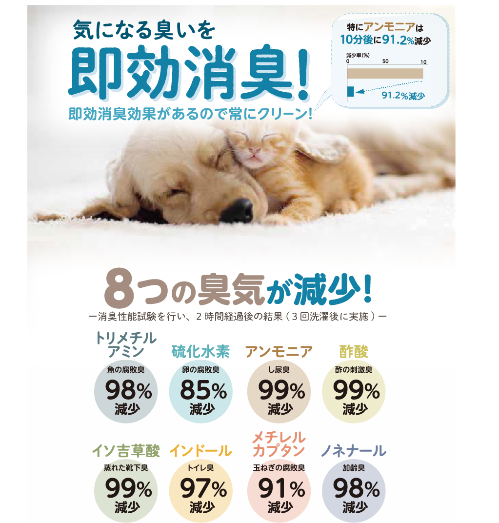 ラグ説明